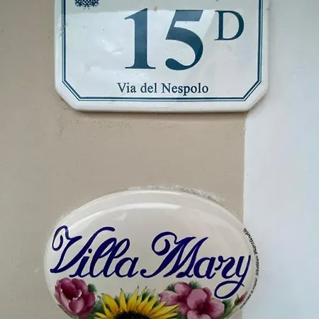 Mary